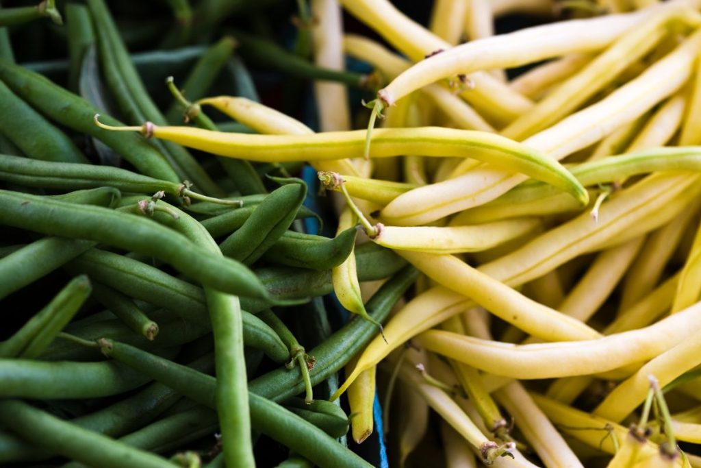 Side by side comparison of green and yellow wax beans
