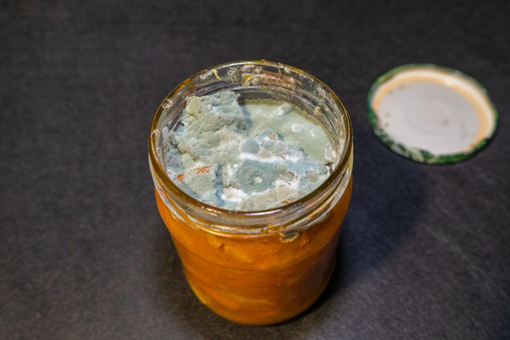 mold inside canning jar