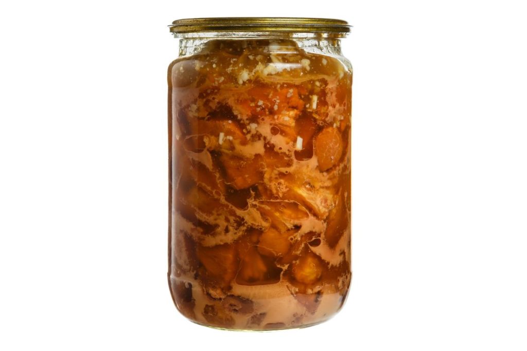 Canned turkey in jar