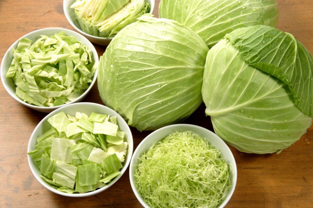 Bowls of cabbage sliced in pieces, shreds, and square shapes