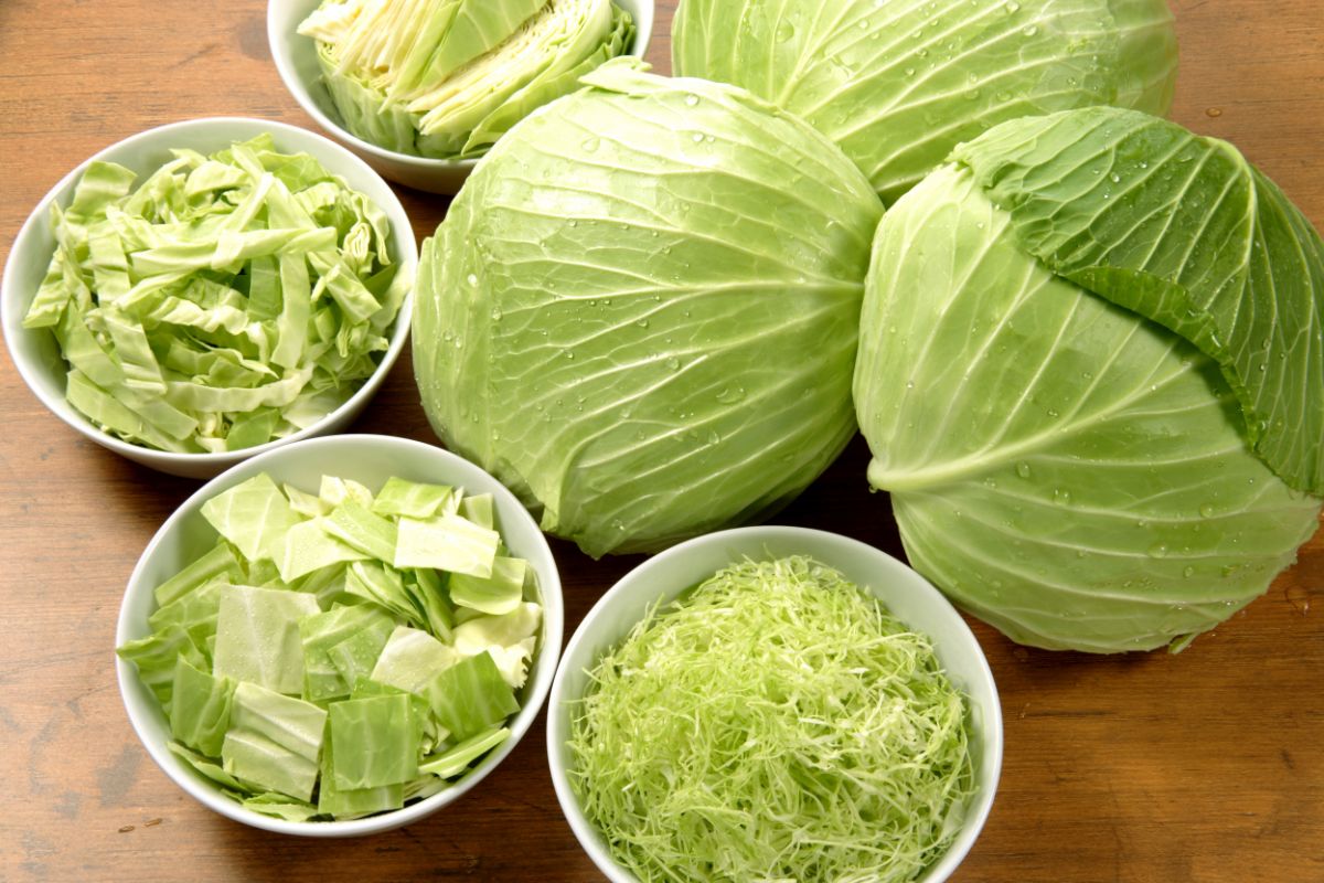 Authentic Amish Recipe for Canning Cabbage