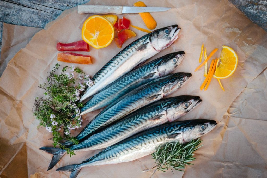 Fresh mackerel fish on parchment paper