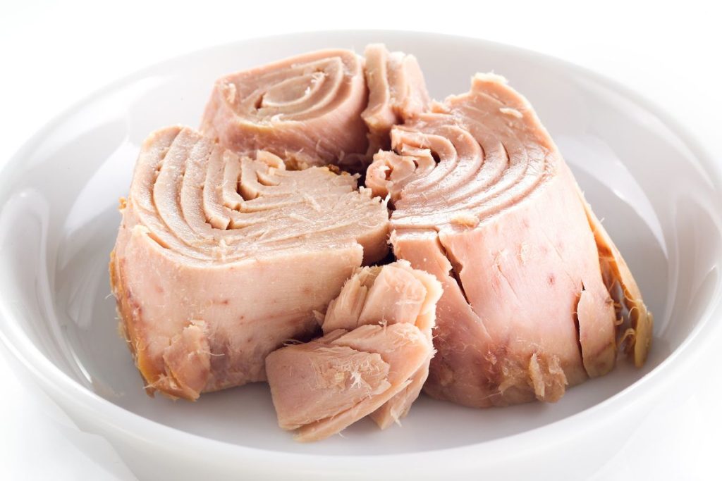 Full Guide to Canning Tuna Fish at Home