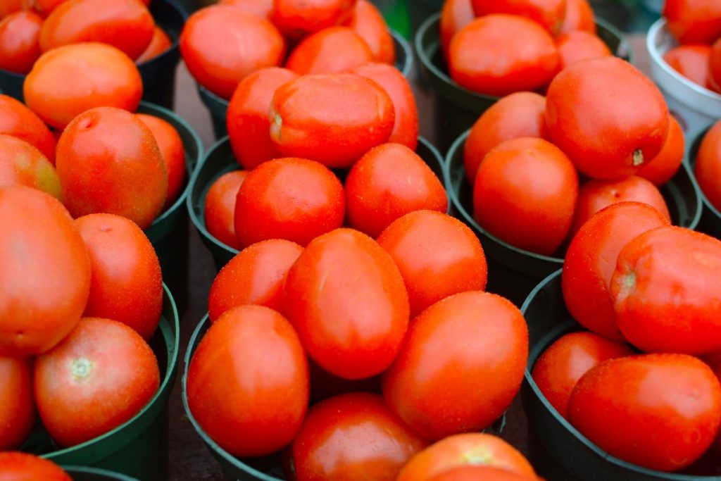 Baskets of ripe Roma tomatoes