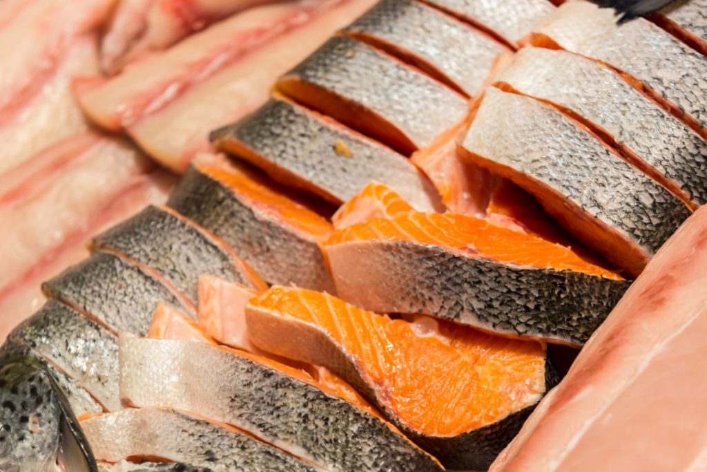 Raw salmon filets