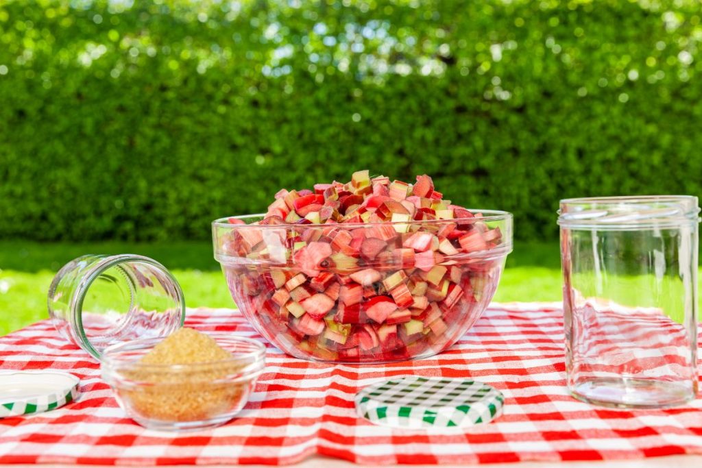 Bowl of diced rhubarb with canning jars and a small bowl of sugar on a picnic table