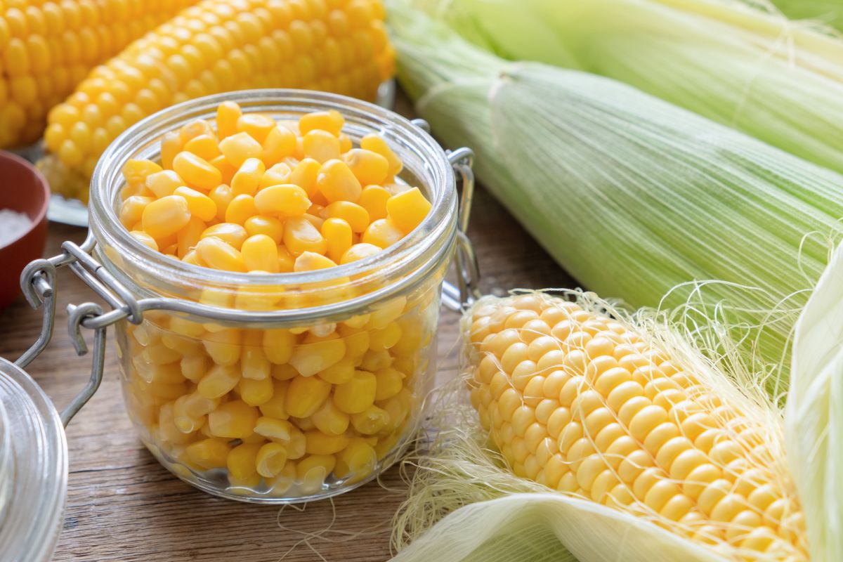 canned corn and fresh corn
