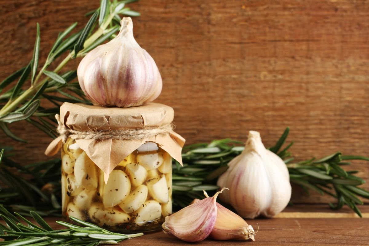 canned garlic and fresh garlic cloves