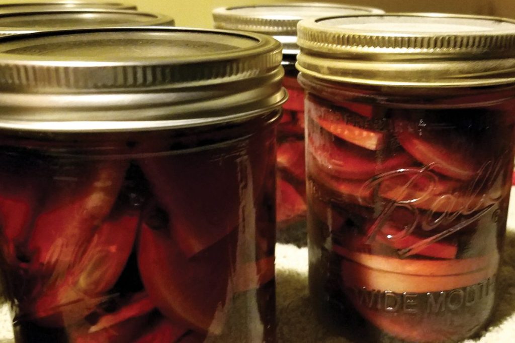 Mason jars of canned radishes