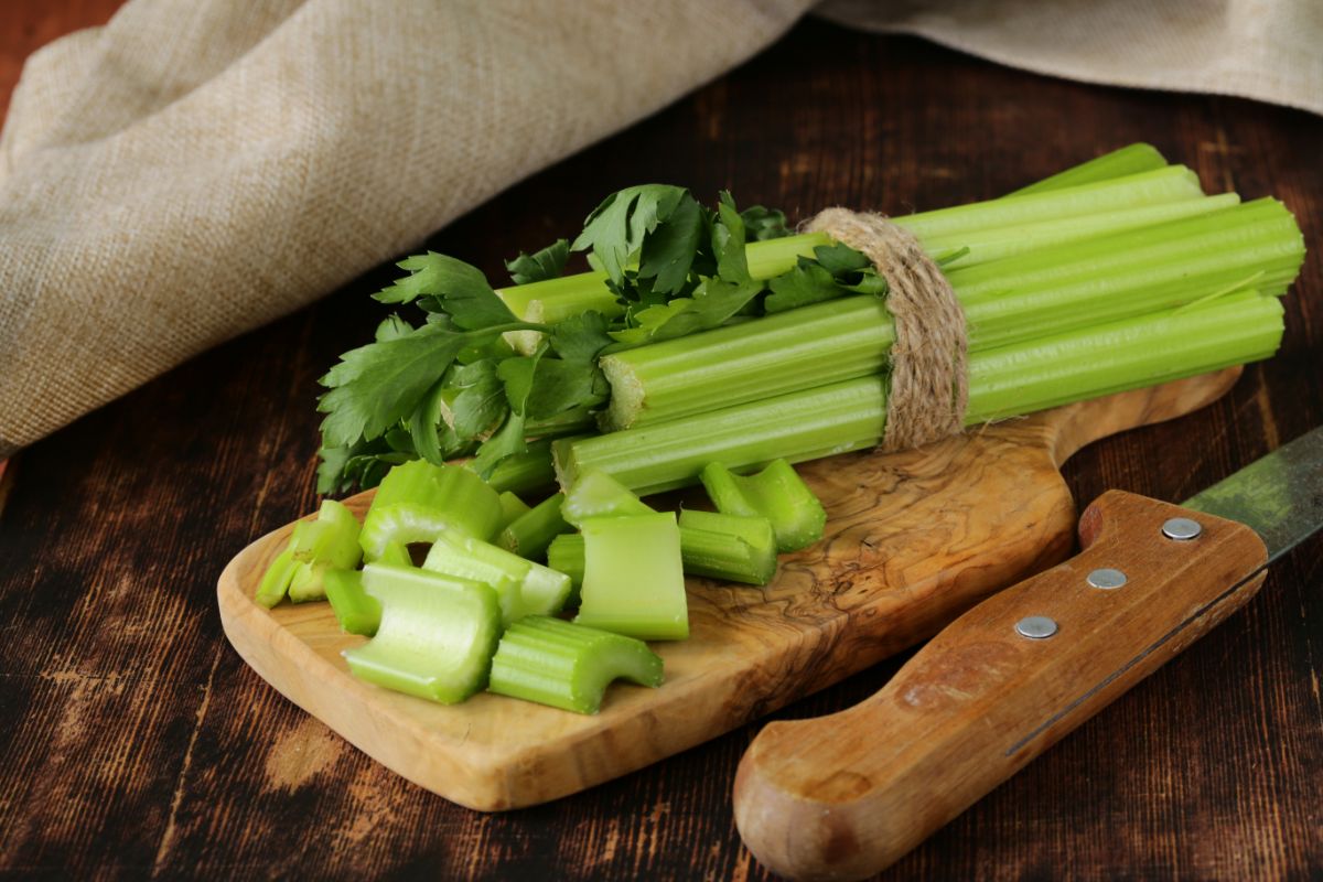 Pressure Canning Celery Stalks And Pickled Celery Guide pressure-canning-celery-stalks-and-pickled-celery-guide