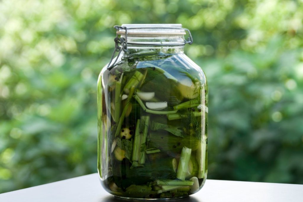 Pickled celery jar