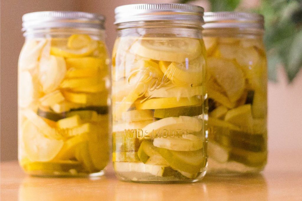 Water bath canned jars of canned summer squash