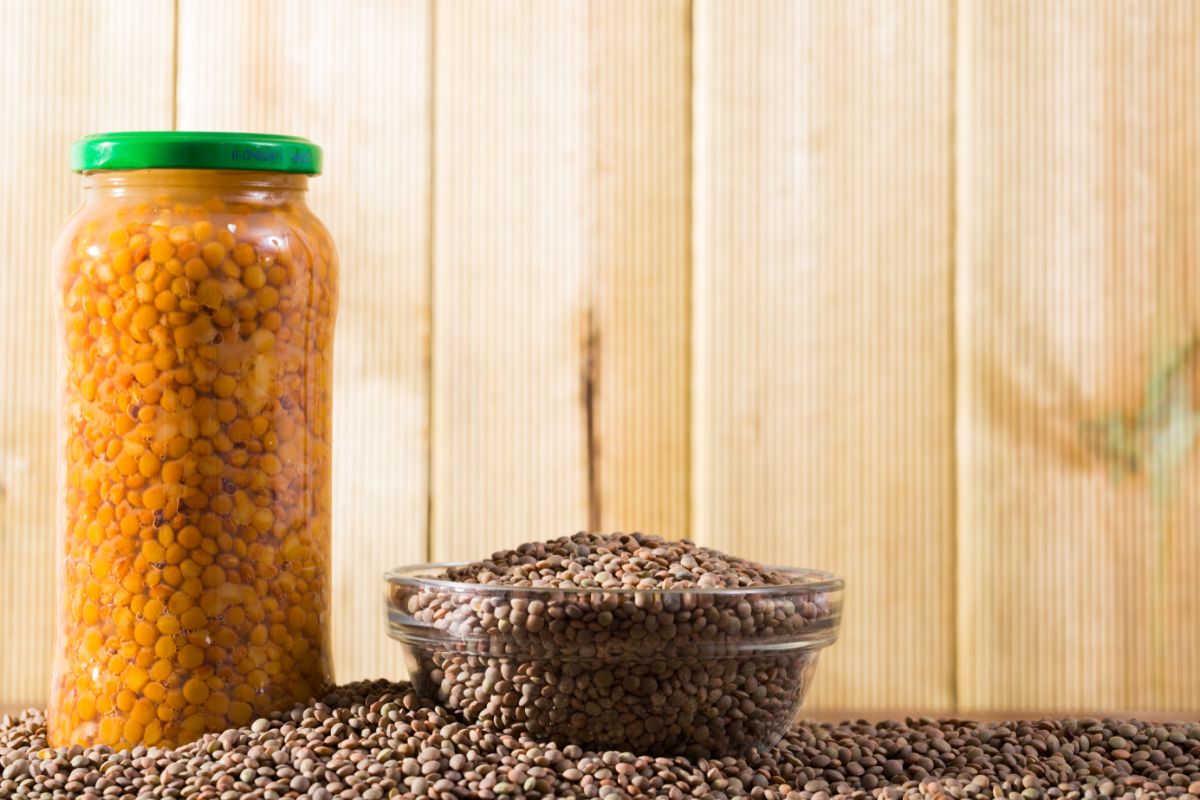 Canned and dry lentils