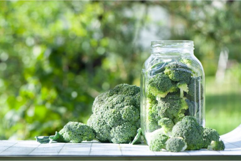 Why Canning Broccoli Is Not Safe and How to Preserve It