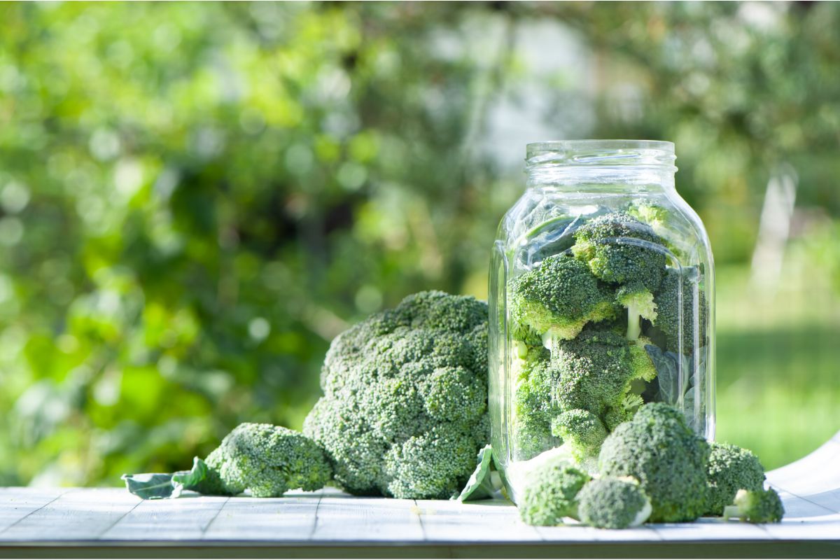 Broccoli in jar outside