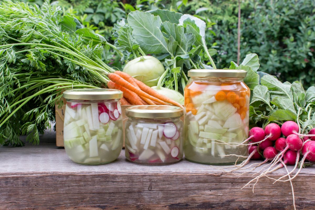 Pressure Canning Turnips Guide and Facts