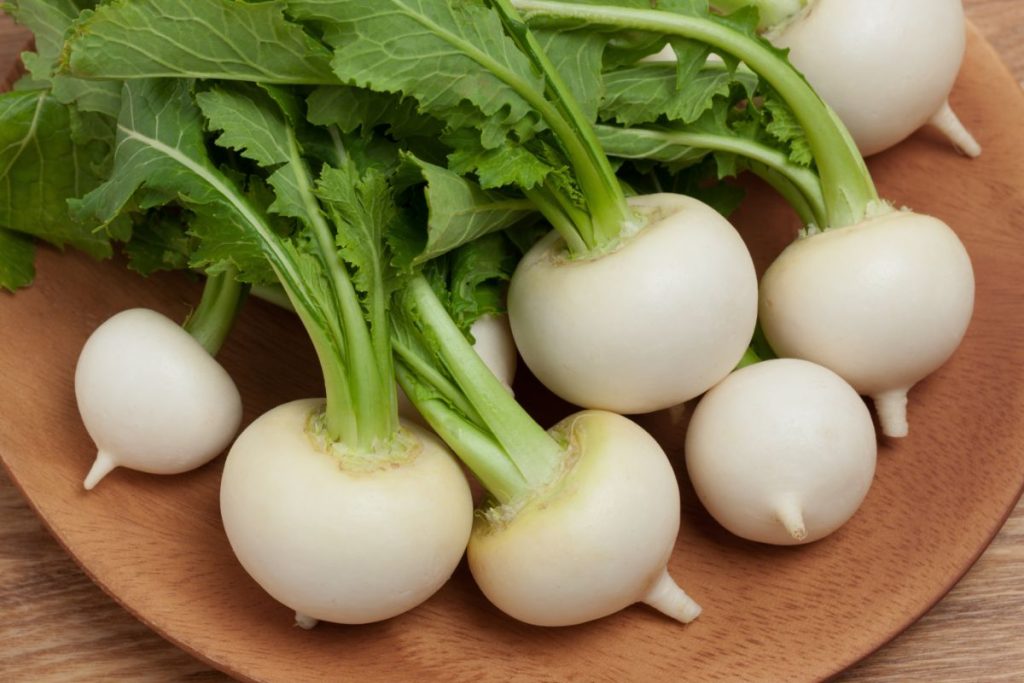 White turnips on a plate
