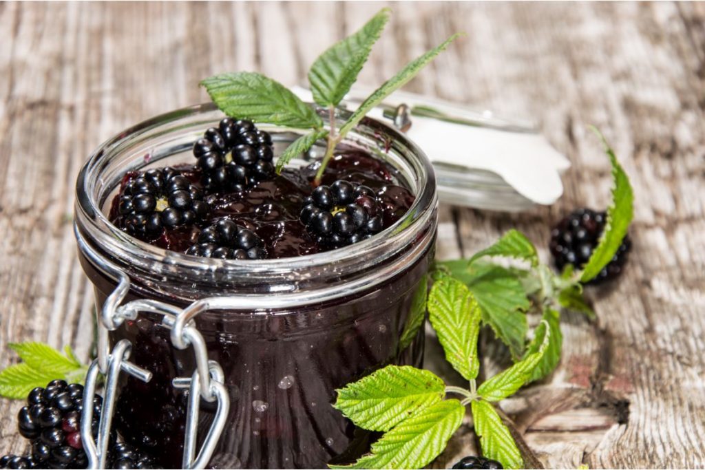 Preserving Blackberries And Canning Blackberries Recipe