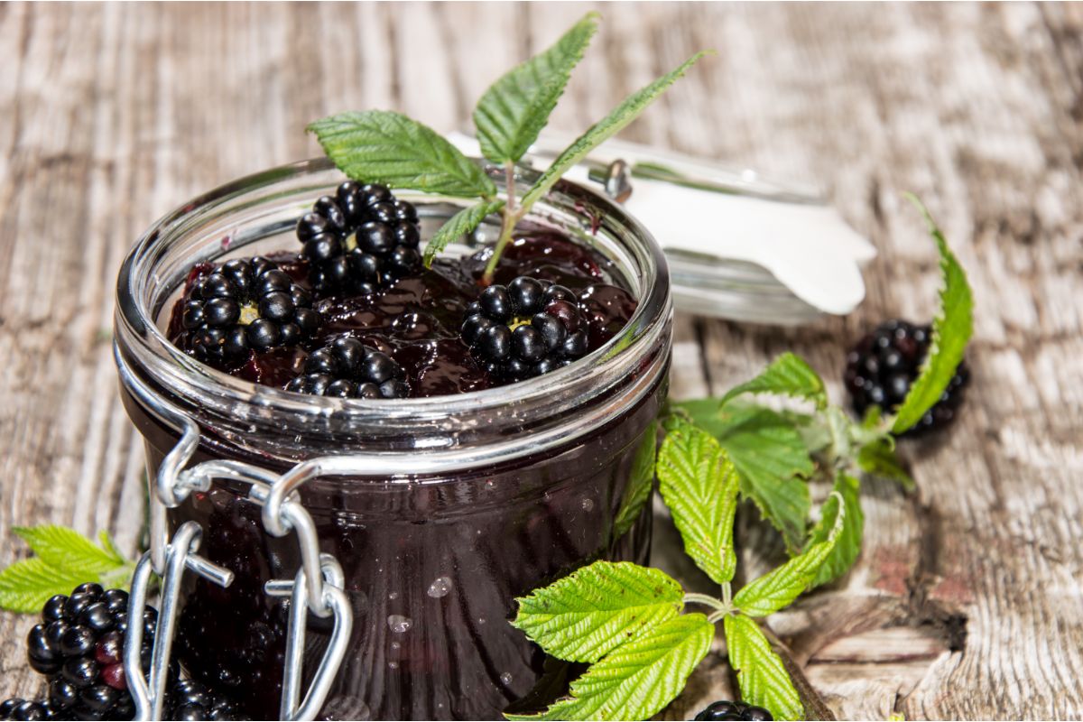 Canned blackberries in an open jar