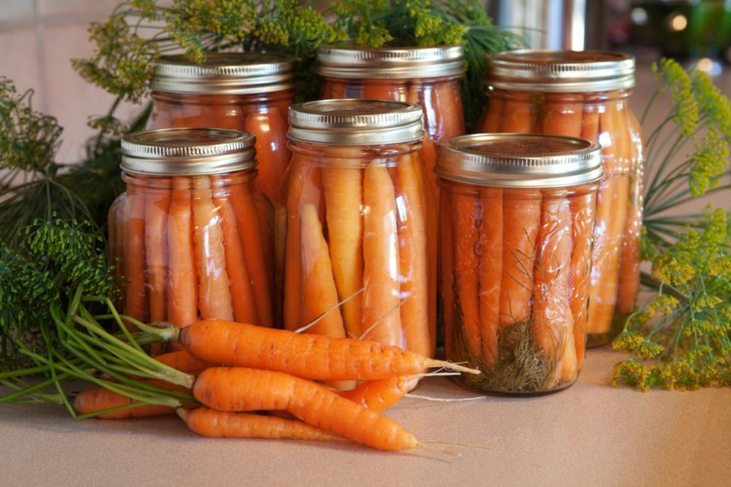 Whole canned carrots in mason jars with herbs