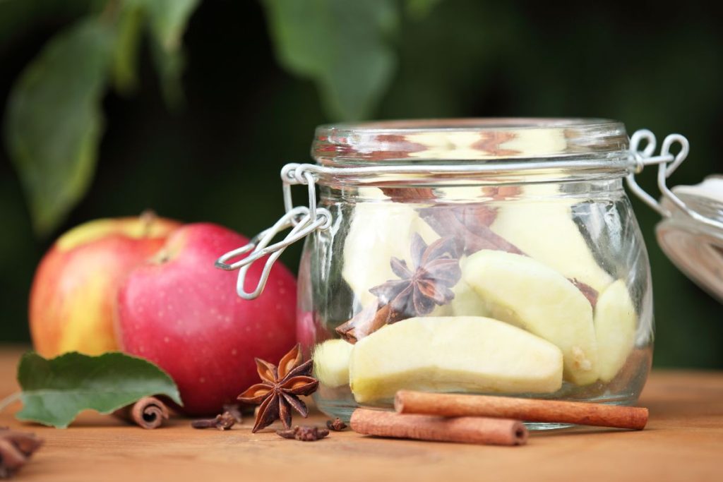 Apple sliced and cinnamon sticks and star anise placed raw into canning jar